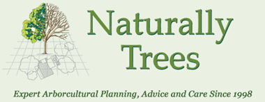 Naturally Trees - Expert Arborcultural Planning, Advice and Care Since 1998
